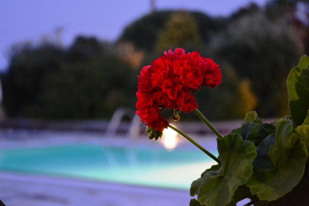 Anthonas 3* Imerovigli (Santorini)